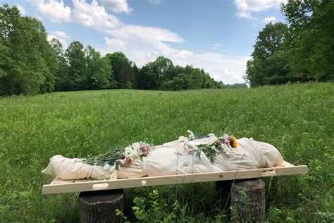 Green funerals: Eco-friendly advancements in body disposal are making