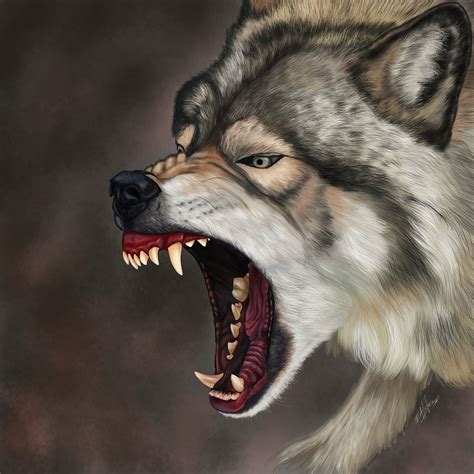 Wolf Illustration Angry Wolf Wolf Spirit Animal Wolf Tattoos