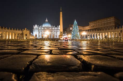 Vatican Vatican Cathedral Night Lights Square Colonnade Tree Monument