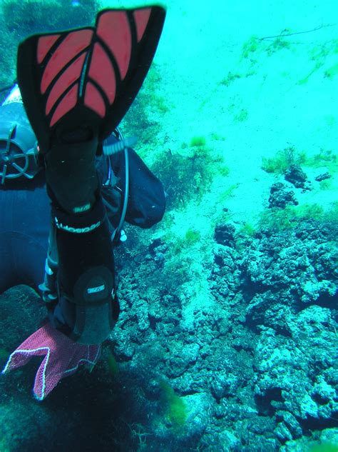 Clear Lake Summer Diving Not Your Average Engineer