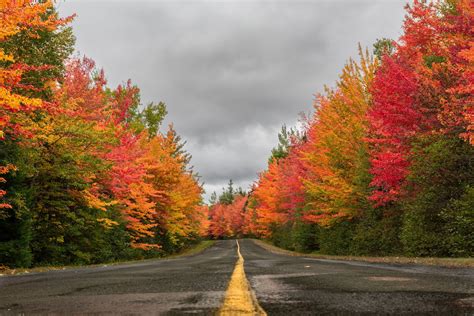 Best Time To See Fall Colors In New Brunswick 2024 Roveme
