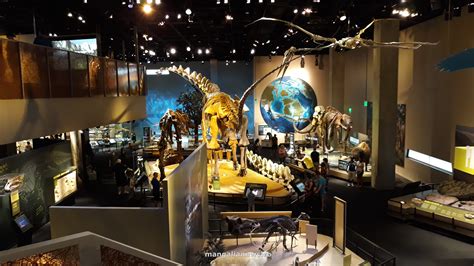 Perot Museum Of Nature And Science Din Dallas Enciclopedie A Naturii Științei și Tehnicii