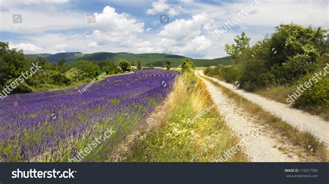 Provence Landscape Stock Photo 110317700 Shutterstock