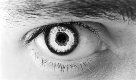 Male Eye Stock Image Image Of Sight Abstract Eyeball 18502329