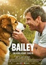 Bailey - Ein Hund kehrt zurück Film (2019), Kritik, Trailer, Info ...
