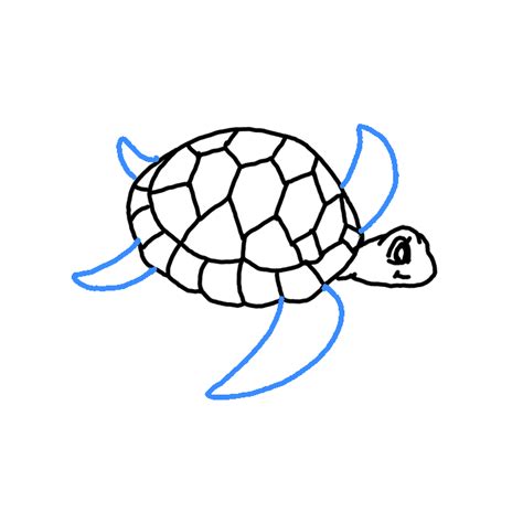 How To Draw A Sea Turtle Step By Step Easy Drawing Guides Drawing