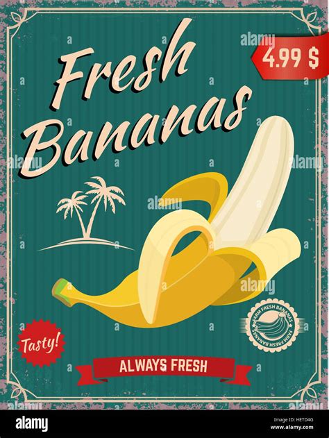 Fresh Bananas Banana Illustration Stock Vector Image And Art Alamy