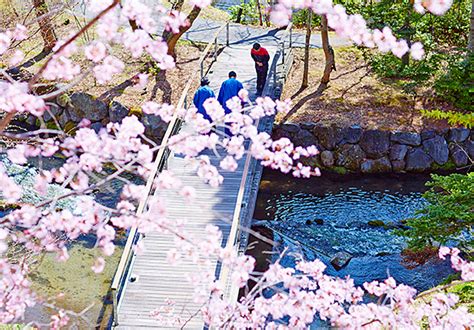 Spring Journey In Japan Hoshino Resorts