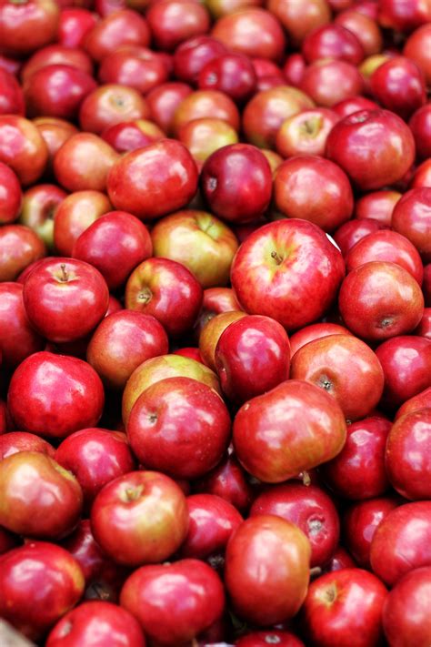 500 Great Apples Photos · Pexels · Free Stock Photos