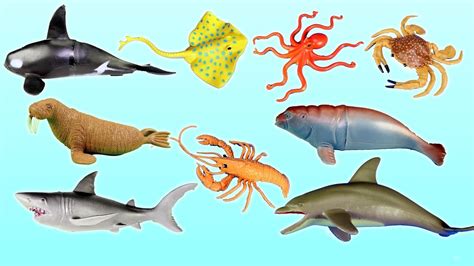 Learn Wild Sea Animal Names For Kids Animal Toys Video Youtube