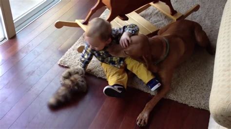 Tbh, for the vast majority of us, putting a tongue in someone's mouth is scary if you've never done it before (and even when you have). Dog French kisses baby - YouTube