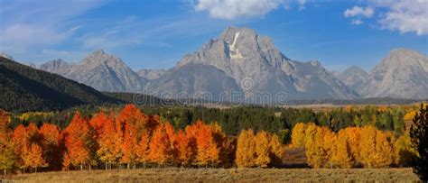 Grand Teton Mountains With Colorful Fall Foliage Stock Photo Image Of