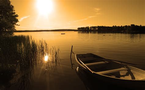 Photography Landscape Nature Plants Water Sunset