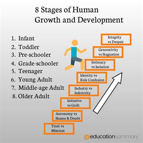 Stages Of Human Growth And Development From Infancy To Adulthood