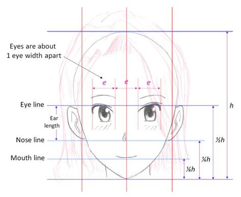 Manga Face Proportions Face Proportions Drawing Tutorial Manga Drawing