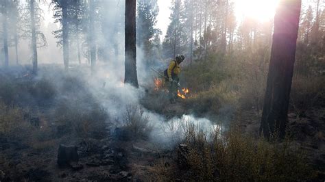 2017 Umpqua Trex Prescribed Fires Help Our Forests Grassl Flickr