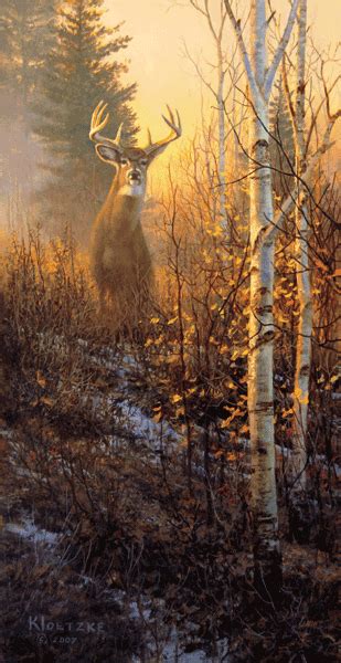Don Kloetzke Art At Thunder Mountain Press Wildlife Art Magazines