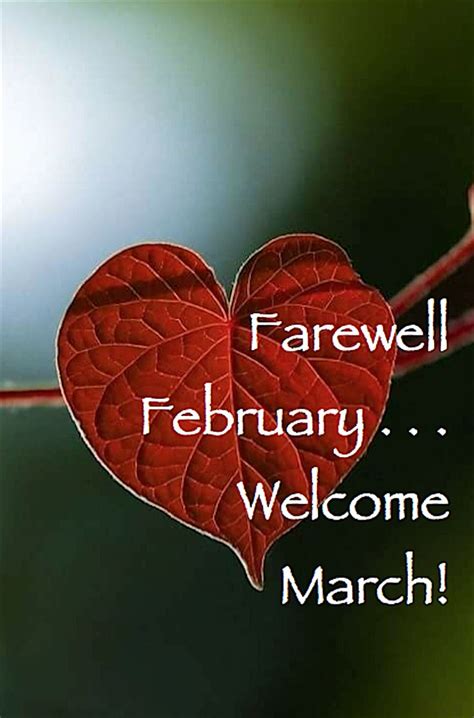 February Farewell February Welcome March More Than Words