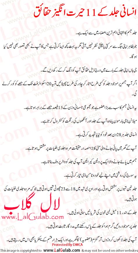 Skin Information In Urdu Skin Facts Jild Ki Maloomat