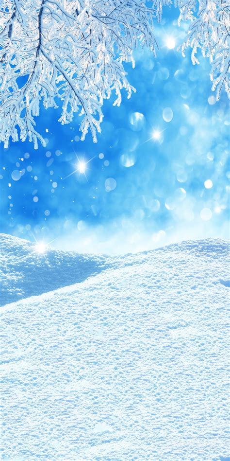 Free Download Season Backdrops Winter Backgrounds Snowy Backdrop