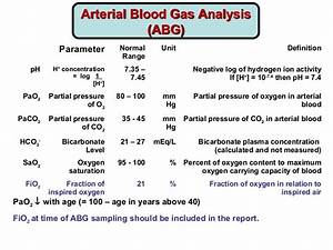 Arterial Blood Gases Test