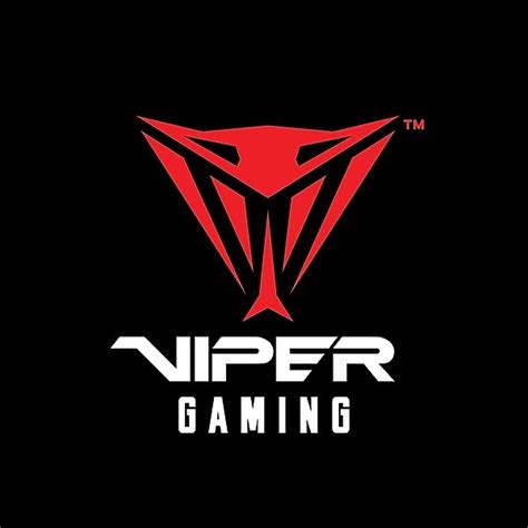 Viper Gaming Twitter Instagram Facebook TikTok Linktree