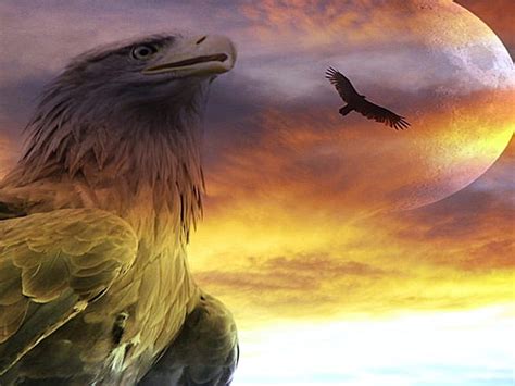 1920x1080px 1080p Free Download Great Eagle Spirit Spirit Eagle