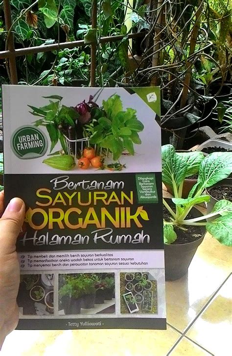 Reading In The Morning Bertanam Sayuran Organik Di Halaman Rumah