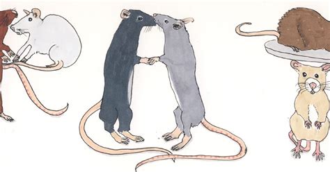 Ink Illustrating Bats And Rats And Bat And Rat