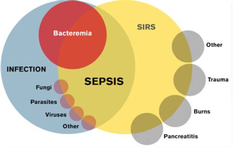 Sepsis And Septic Shock Definitions Nurse Your Own Way