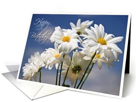 Happy Birthday Daisies White Daisies Against A Blue Sky Card