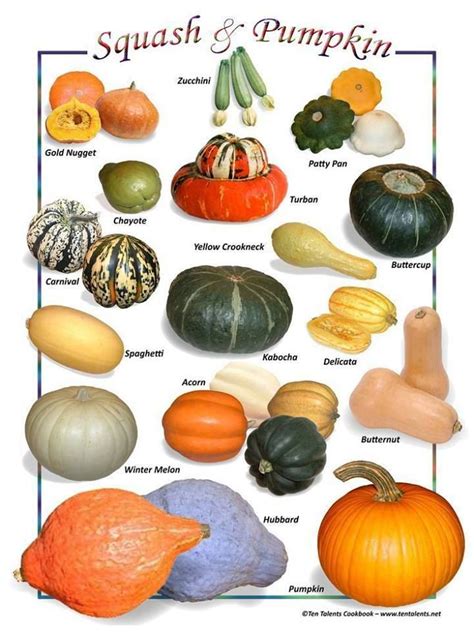 Edible Pumpkin Varieties Chart