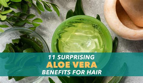11 Surprising Aloe Vera Benefits For Hair Vitsupp