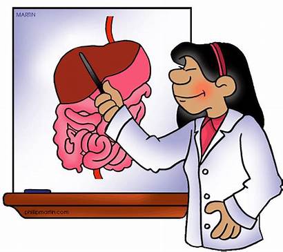 Digestive Science Human System Clipart Mouth Stomach