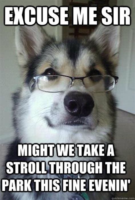 40 Pictures Of Cute And Funny Husky Facial Expressions Dog Quotes