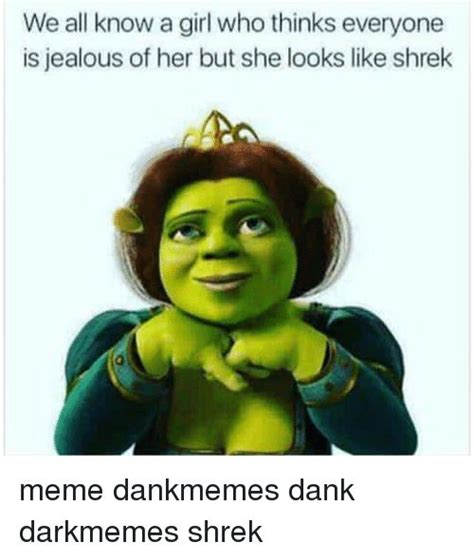 Pin By Derpy Burger On Shrek Memes Princess Fiona Shrek Funny Fiona