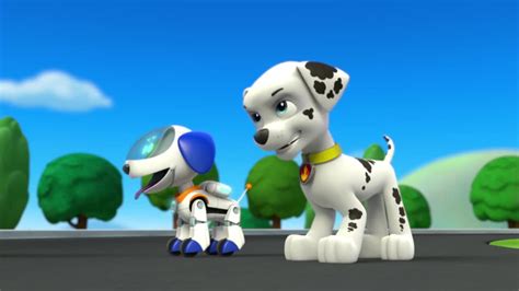 Pups Save Ryders Robottrivia Paw Patrol Wiki Fandom