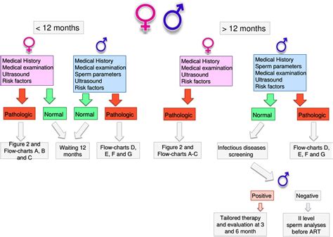 Male Infertility Chart