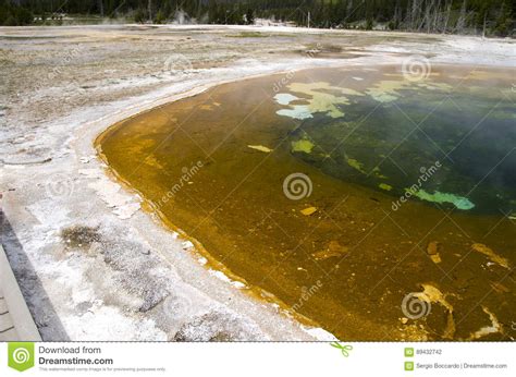 Geyser In Yellowstone Stock Photo Image Of Color Lakes 89432742