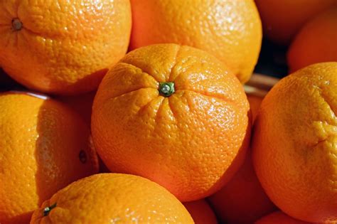 Organic Oranges Sunshine Co Operative