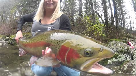Winter Steelhead Fishing Big Fish And Beautiful Scenery Youtube