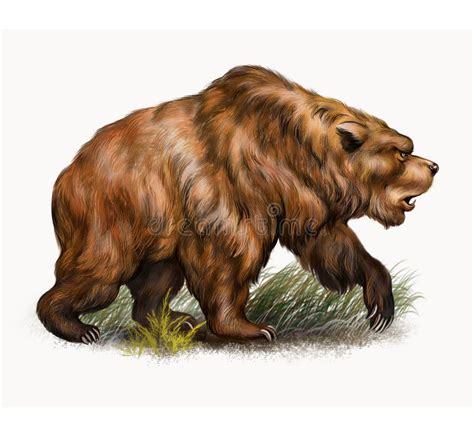 Cave Bear And Lion Panthera Saber Toothed Tiger Prehistoric Mammals