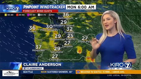 Claire Anderson KIRO Weather Works Puppies Rear Tight Dress Nov 30