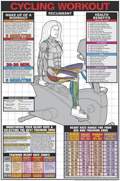 Cycling Workout Recumbent Bike Professional Cardio Fitness Wall Chart