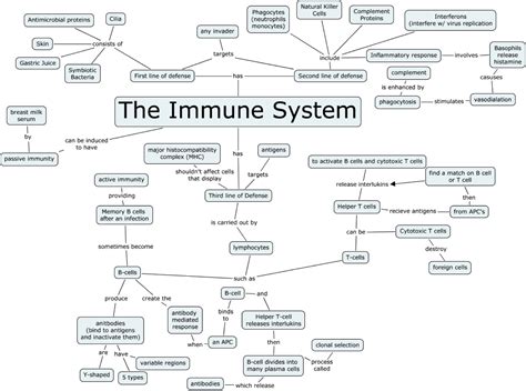 Mind Map Example 2 Immune System Nursing Medical Laboratory Science