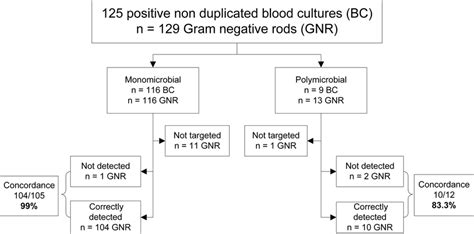 Bc Gn Performance For Identification Of Gram Negative Rods