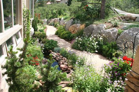 Benefits Of Native Plants And Xeriscape In Colorado Landscape Design In