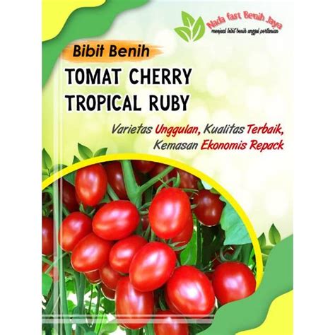 Jual Benih Sayuran Buah Tomat Cherry Tropical Ruby Biji Bibit Sayuran