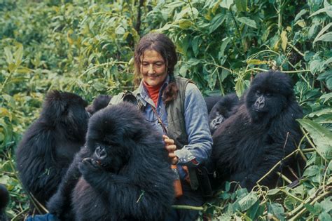 Dian Fossey Dian Fossey Tomb Visit Rwanda Rwanda Safari