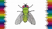 How To Draw A Fly at How To Draw